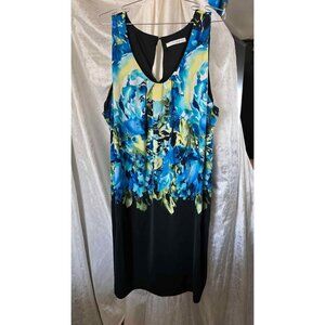 Women's  Blue Floral Shift Dress Sz 1X